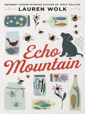 cover image of Echo Mountain
